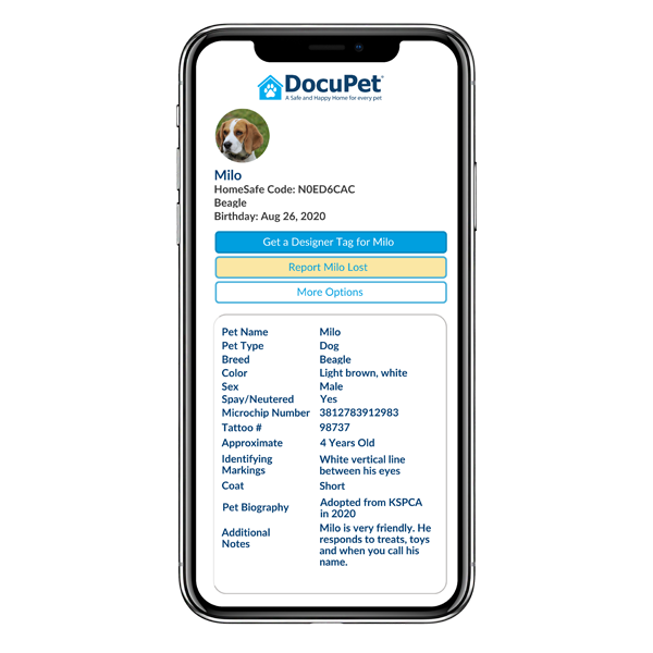 HomeSafe Pet Profile