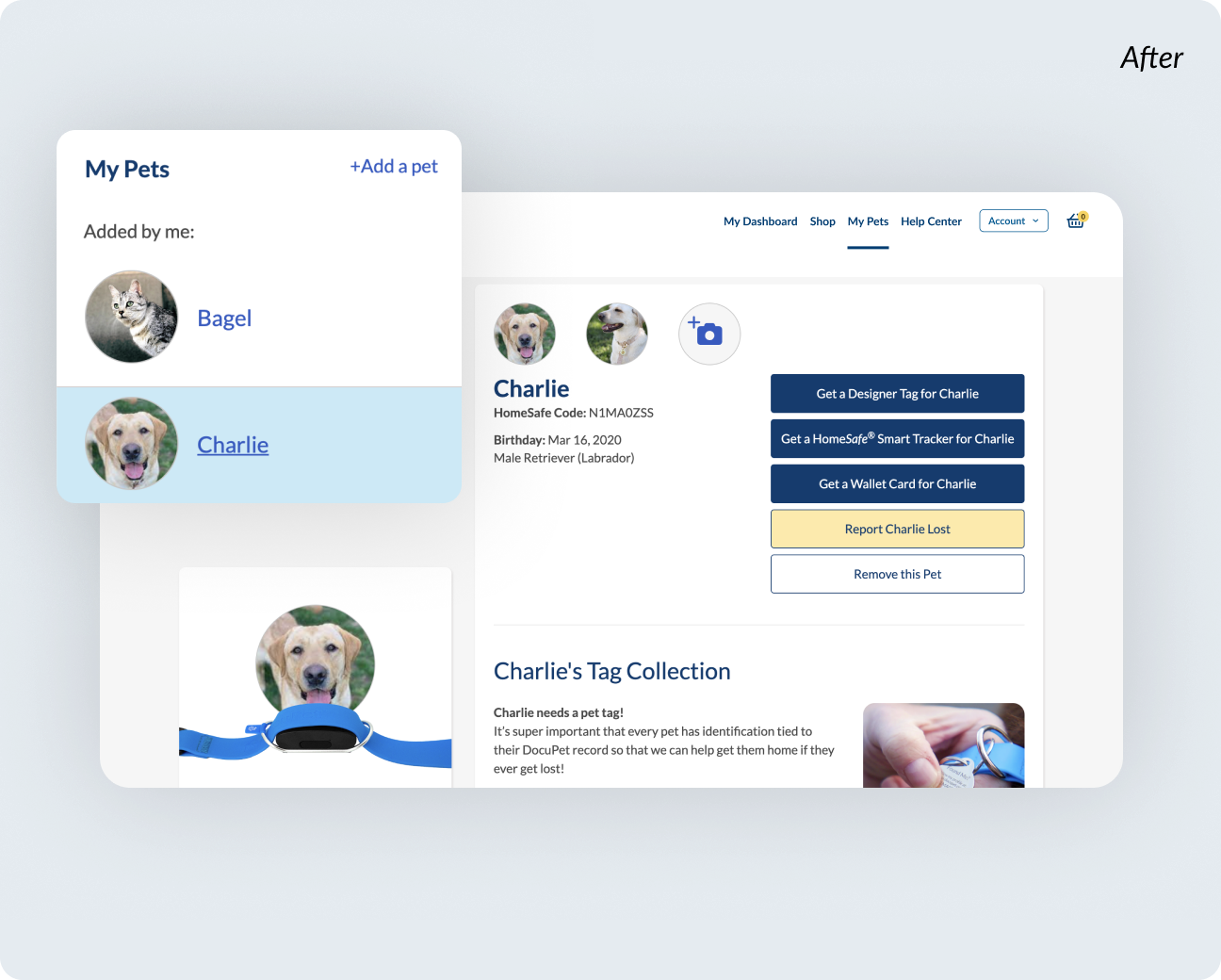 The DocuPet website shows how their platform consilidates all pet records into one place.