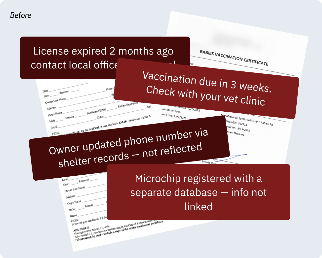 A montage of notfications appear over a rabies vaccination certificate. The notifications are for expired license, and an upcoming vaccination deadline.