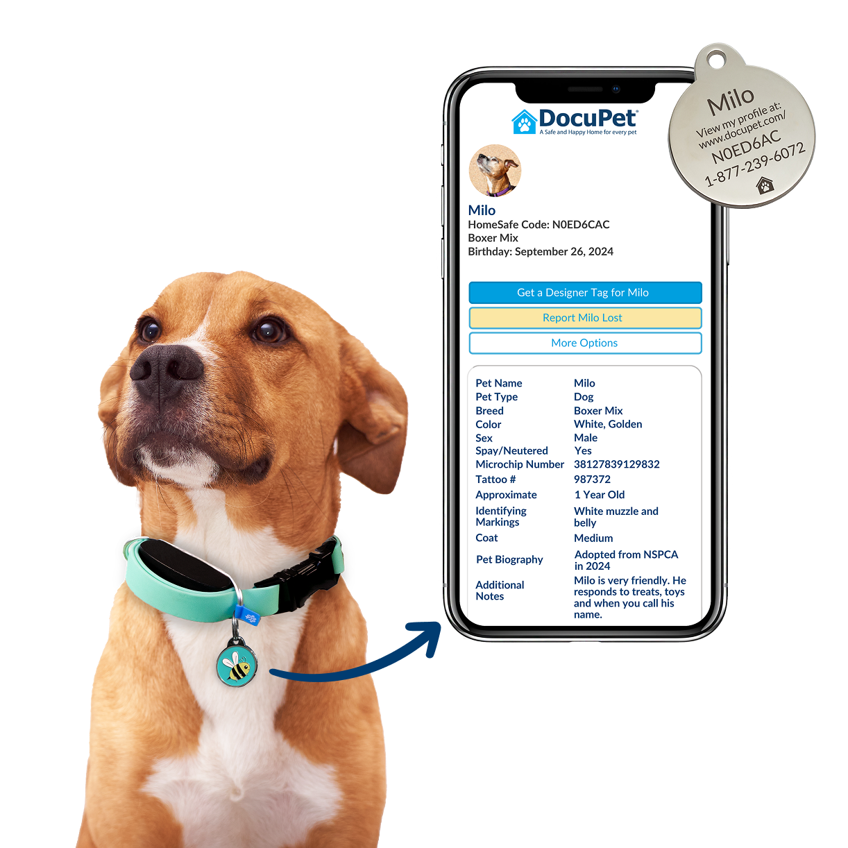 A dog with a DocuPet ID tag is shown with a mobile phone that displays their online pet profile.