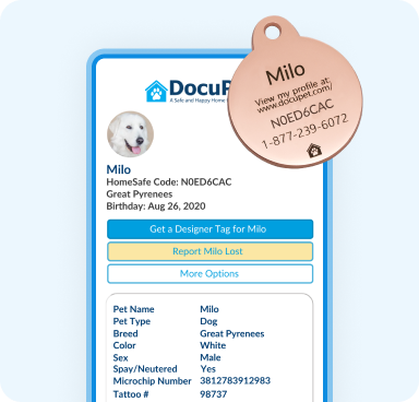 Licensing Services Integration