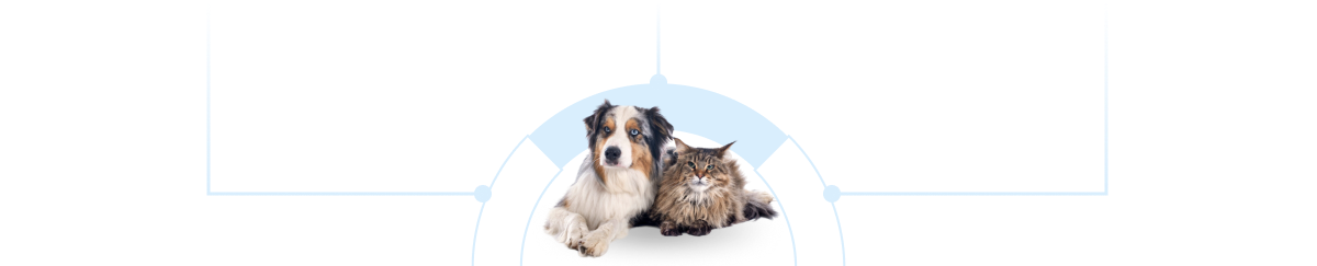 Decorative image