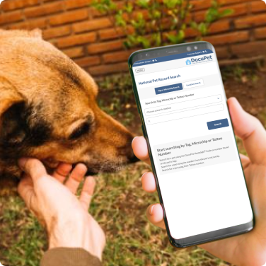 Corporate access to the National Animal Shelter Network