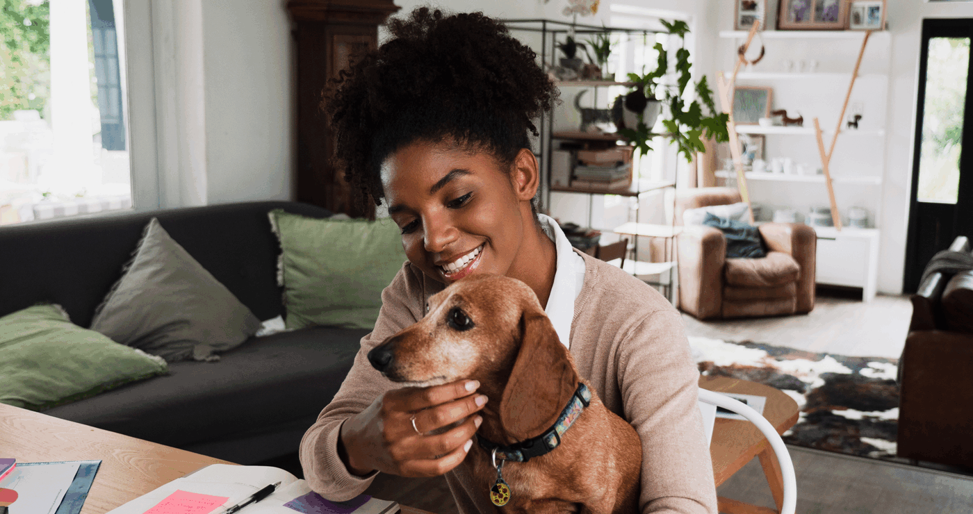 What Makes a Registry a Brand? Building National Trust with DocuPet