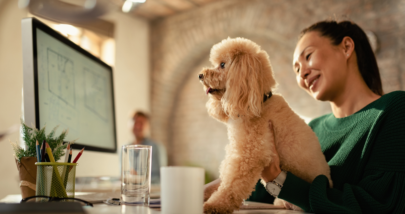 Creating New Revenue Streams Through Smart Pet Licensing Programs