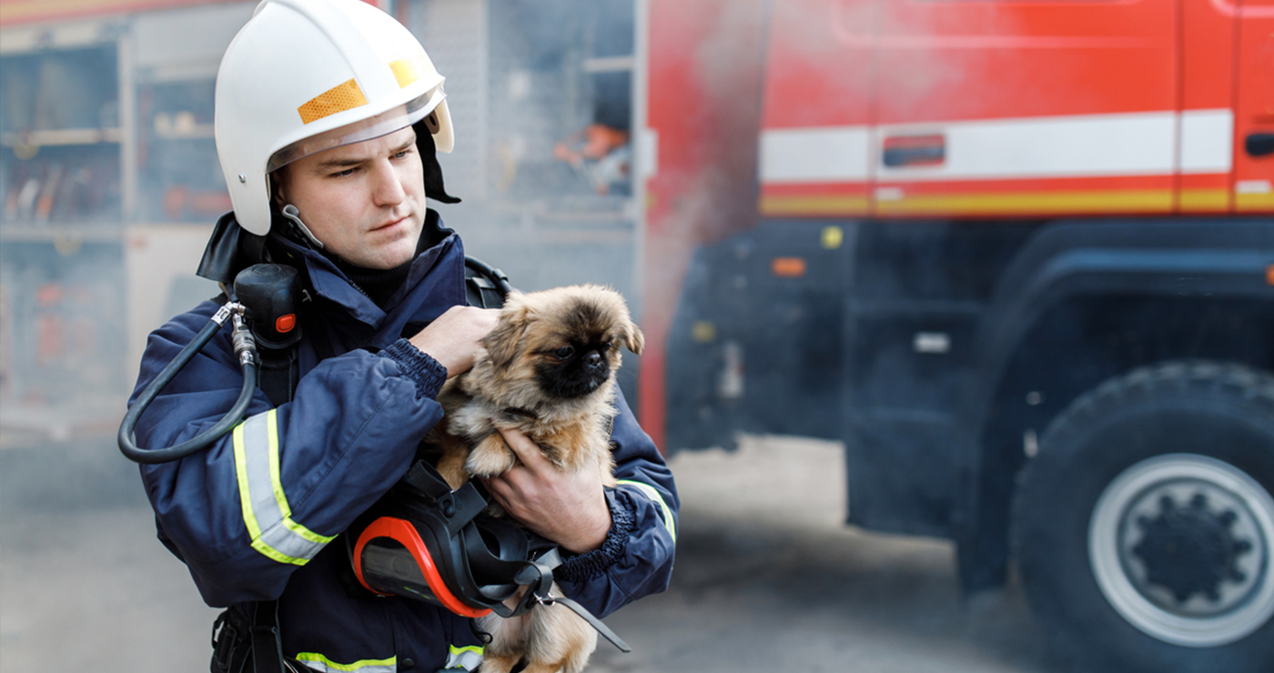 Creating Disaster-Ready Pet Reunification Through DocuPet’s National Pet Registry