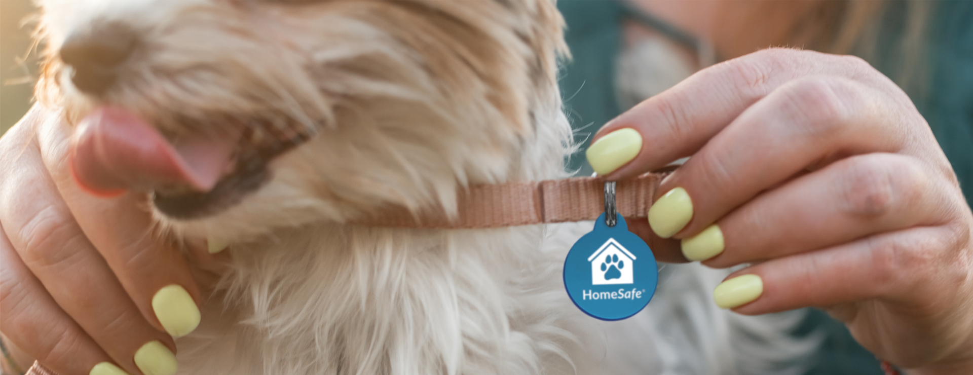 Building on Licensing: How DocuPet Ensures More Pets Can Be Identified