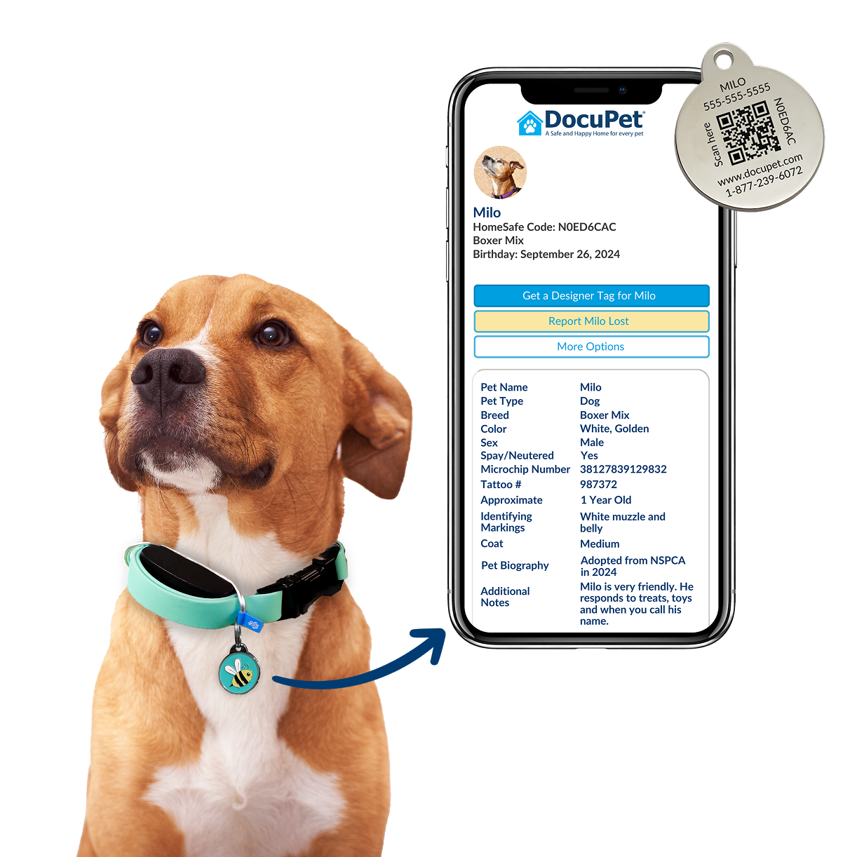 A dog with a DocuPet ID tag is shown with a mobile phone that displays their online pet profile.