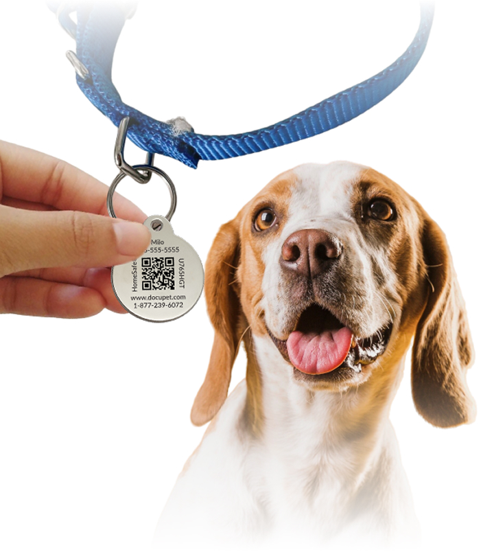 A hand holds a DocuPet ID tag in front of a dog to which it belongs. The ID tag contains the pet's name, a unique code, and a phone number in case the pet is lost.