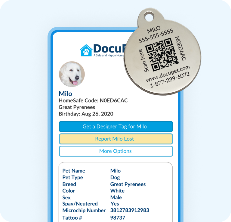 Licensing Services Integration