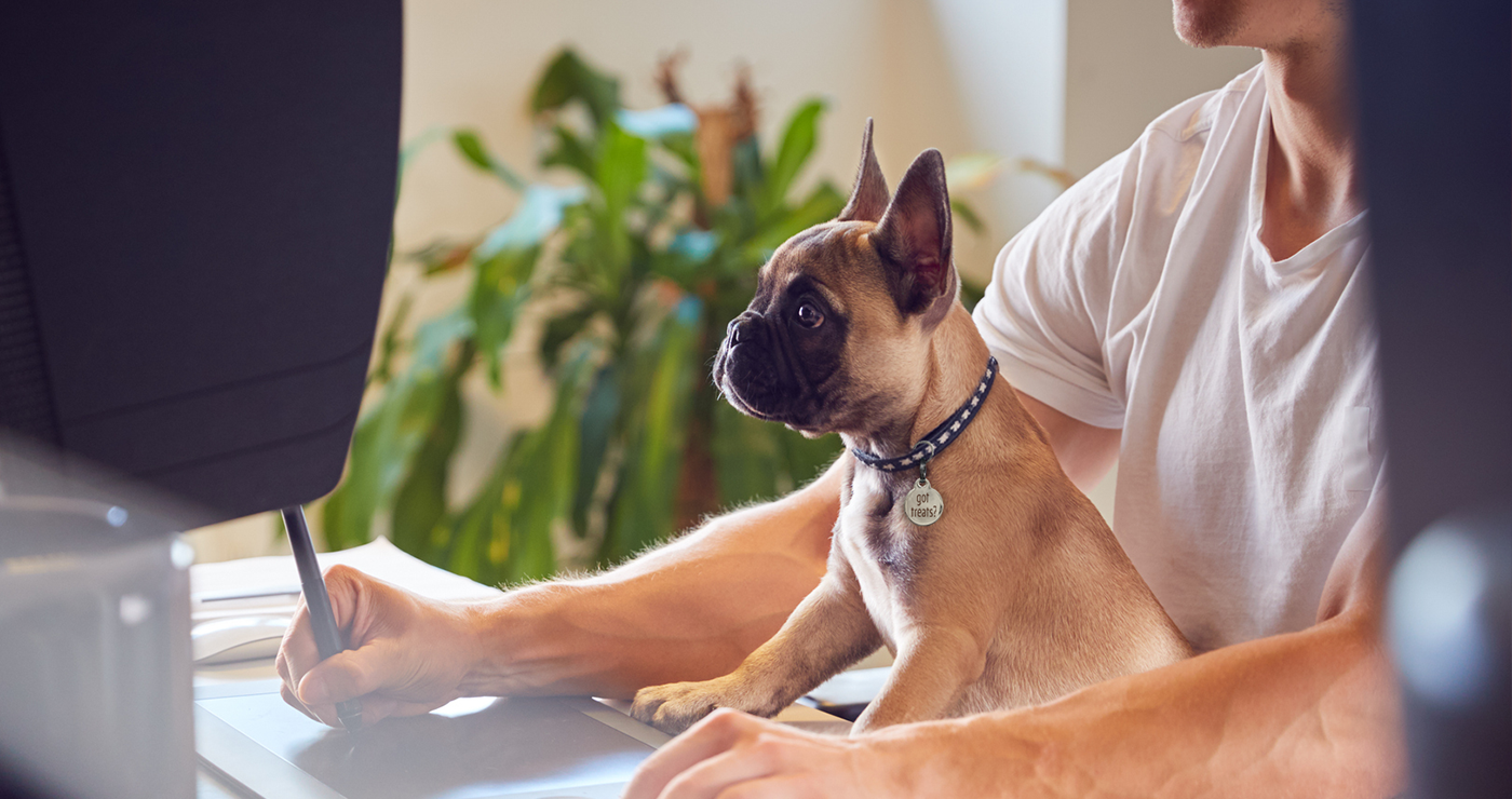 The Power of a Unified Pet Registry: Connecting Communities Through Shared Data